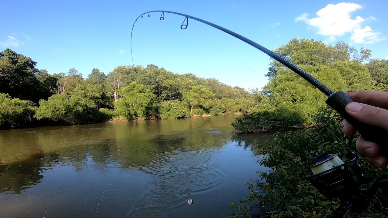 Catching Summer Trout Fishing in Pennsylvania 2019 Brook Brown