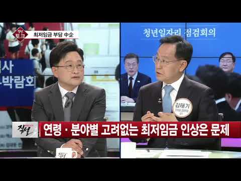 [고용 일자리 문제] 김태기 교수 &quot;독일은 청년들 취업한지 얼마 안된 사람들은 최저임금 대상이 아니였습니다.&quot;
