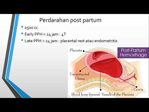 Video: Hubungan Serentak Dan Jangka Panjang Antara Mikrobiota Endometrium Dan Transkriptom Endometrium Pada Sapi Perah Postpartum