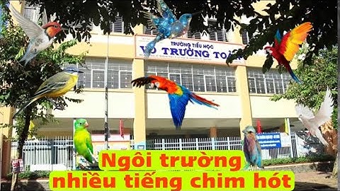 Trường tiểu học Võ Trường Toản - TP Cần Thơ