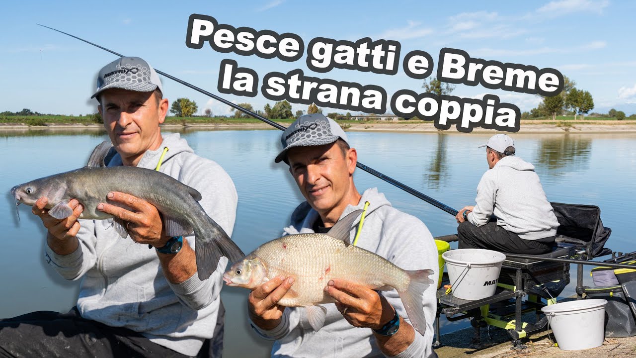 Pesce gatti e breme - la strana coppia con Fabrizio Calosi