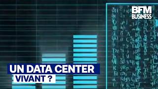 IA : Le data center du futur sera-t-il... vivant ?