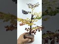 7 chakra Gemstone tree #crystals