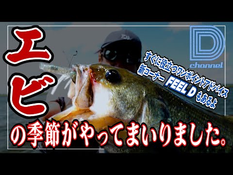 [Daisuke Aoki D Channel #039] Shrimp season has arrived!? In the Kasumi water system
