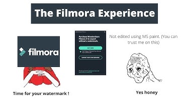 The Filmora Experience... (How it feels to edit videos with Filmora)