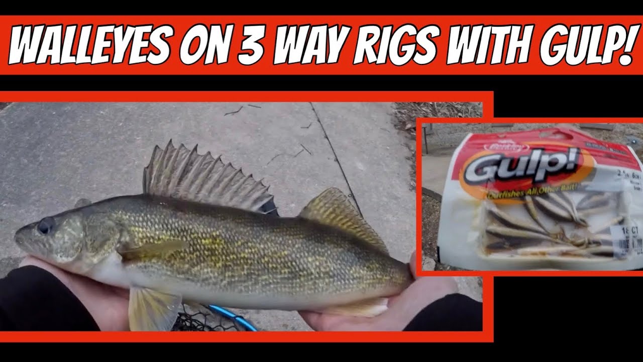 Fishing Three Way Rigs for River Walleyes in Spring! 