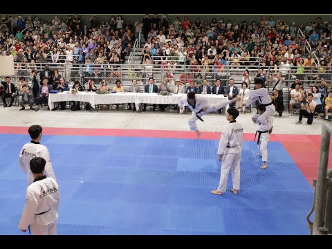 국기원 시범단 휴스턴 초청 공연