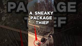 This Sneaky Thief Knows How to Avoid the Camera#packagetheft #packagethief #securitycamera #fyp