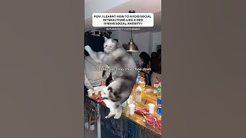 Catmemes 🐱 POV: I learnt how to avoid social interactions like a pro ( i have social anxiety)