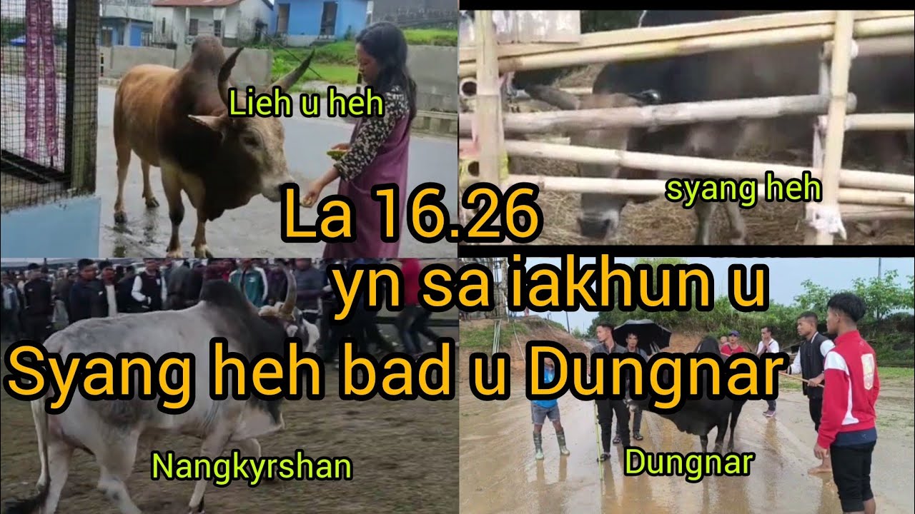 Dungnar bad u Syang heh || La khathynriew 2026 || iadaw masi || iatur masi