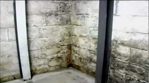 What Should I Do If My Basement Floods? | Water Damage | Mold Concerns | Basement Doctor Columbus OH