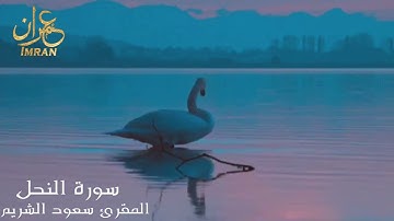 سورة النحل - المقرئ الشيخ سعود الشريم  - Saoud Al Sharim  - Anahel