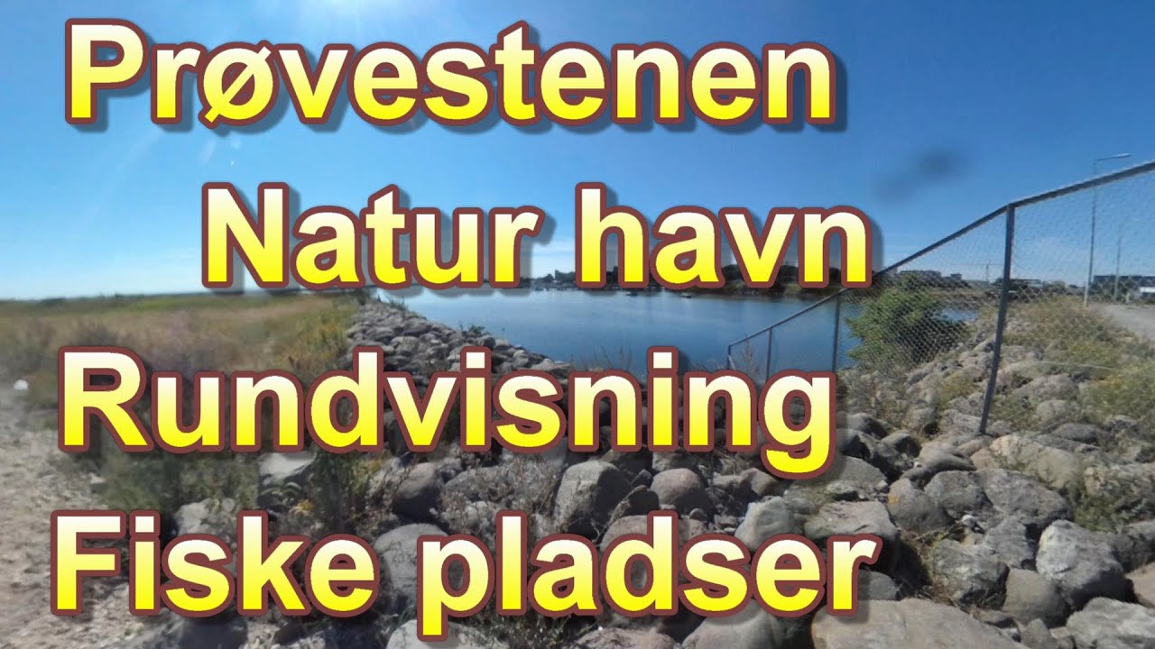 Prøvestenen rundvisning 2020
