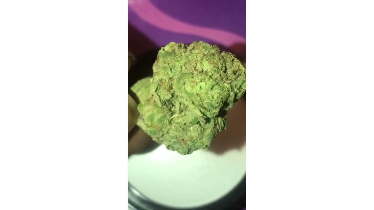 Royal Wedding Strain Review (Smk Brk 420)