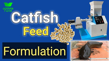 Catfish feed  Formulation the easiest way in nigeria