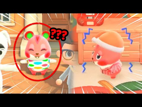 아픈 주민도 그룹체조에 나올까? [모동숲 애플] ::콘PD::