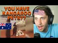 American Reacts to KANGAROOS (boxing?? pets??)