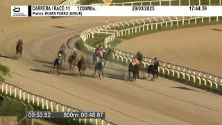 Vidéo de la course PMU RUBEN PORRO (NEBUR)