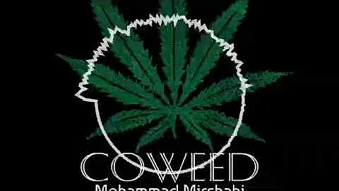 CoWeed - Mohammad Mirshahi
