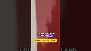 How Moving to Poland Made Me an MMA Fan
