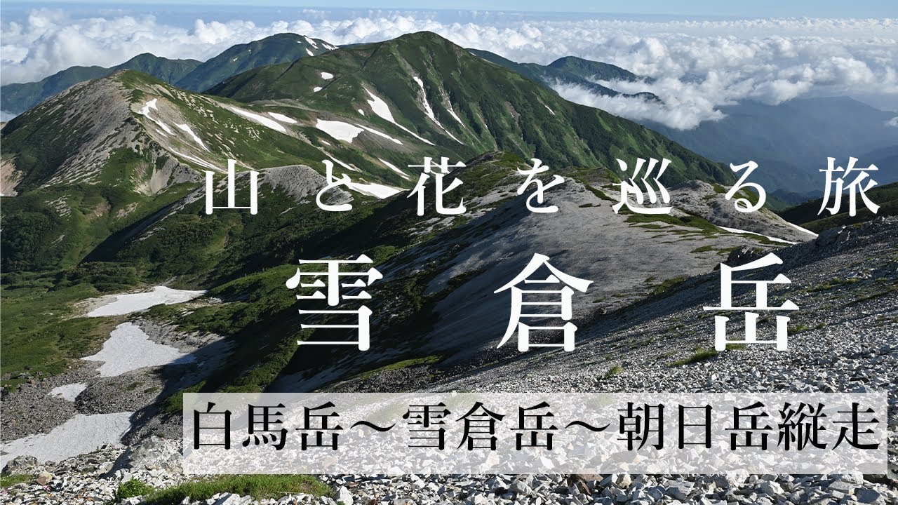 【登山】雪倉岳（白馬岳～雪倉岳～朝日岳縦走　蓮華温泉周回ルート）百花繚乱の白馬連峰を縦走しました（ミヤマムラサキ・ミヤマアズマギク・キンコウカ）