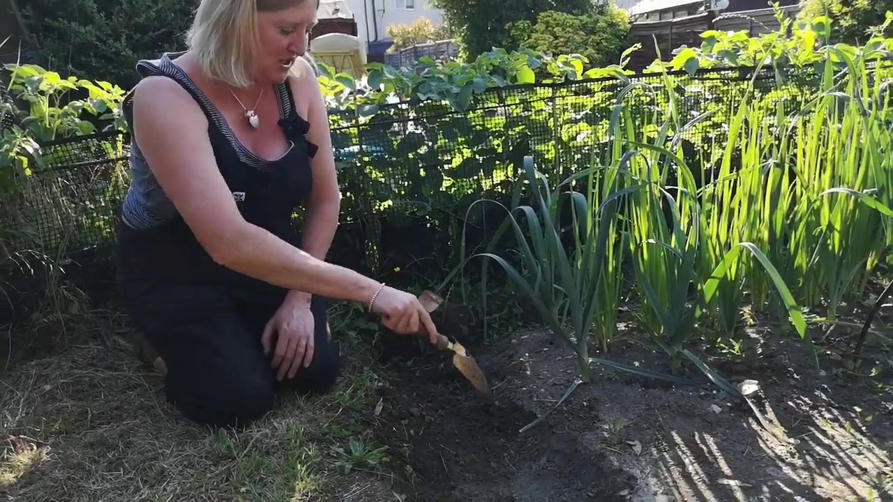 Gardening Club 26 June - pests & disease prevention