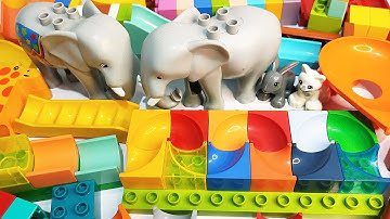Satisfying Building Blocks Marble Run ASMR Winding Stairs and Elephant course