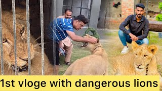 Visit lion farm in Lahore