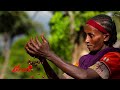 ETHIOPIA -  157 ቢሊዮን ዶላር የሚጠይቅ የካርቦን ልቀት ስትራቴጂ ይፋ ተደረገ