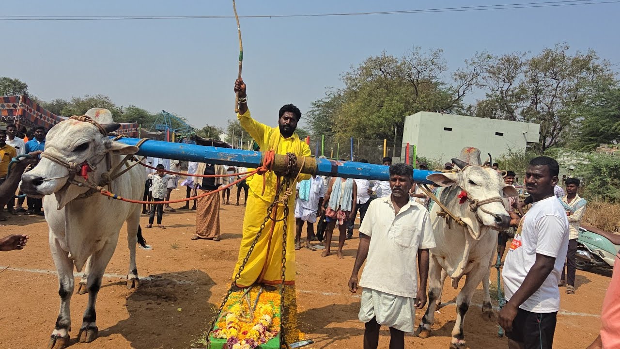 గుర్రబ్బాడు న్యూ క్యాటగిరి విభాగంలో 1 st winner 🏆వెంకటకృష్ణయ్య  పిన్నపురం 