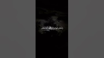 نحن اولياؤكم في الحياة الدنيا #قران_كريم #المنشاوي #تلاوة_خاشعة