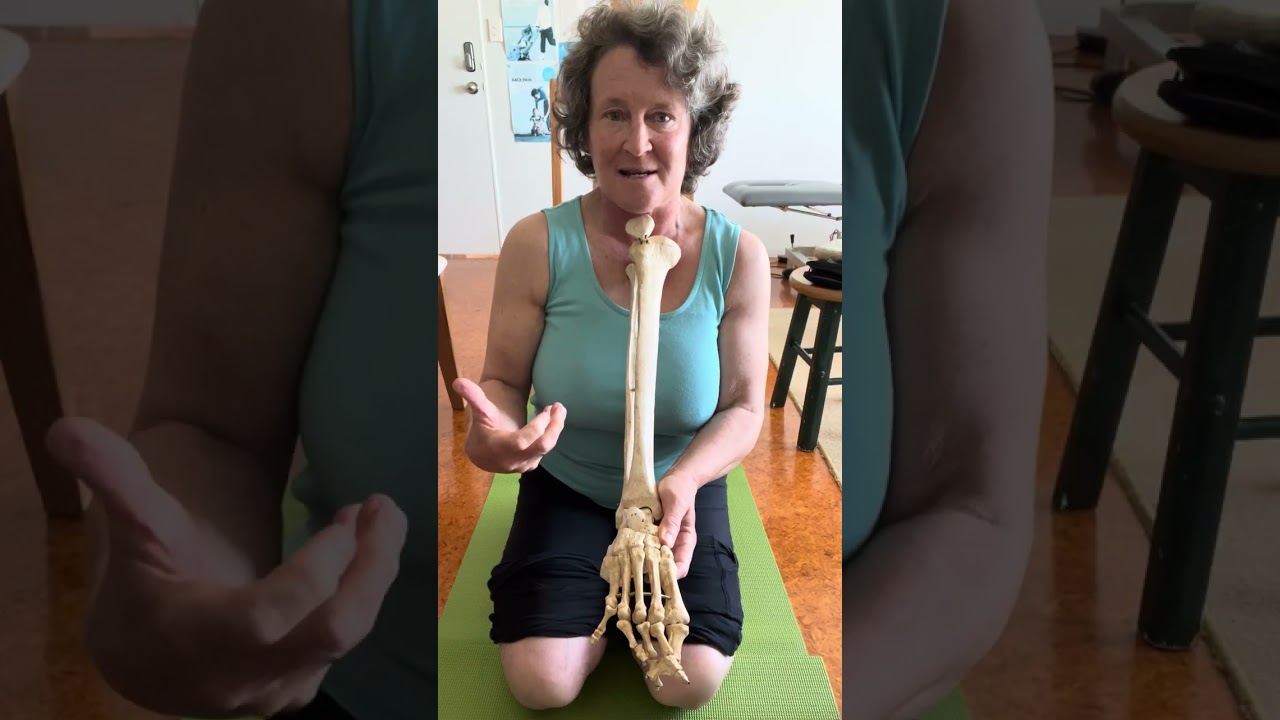 GCS 66A: Foot exercises to prevent hallux valgus ( big toe bunion)