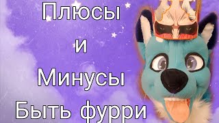 видео: Плюсы и минусы быть фурри картинка: Плюсы и минусы быть фурри
