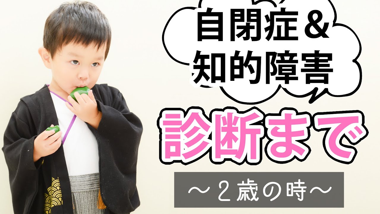 【知的障害＆自閉症】発達障害の診断が下りるまで（２歳の時）3/3