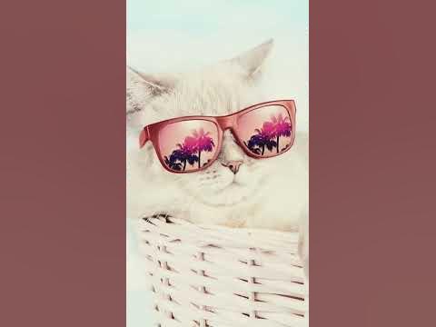 тапети за телефон. 🍉 - YouTube