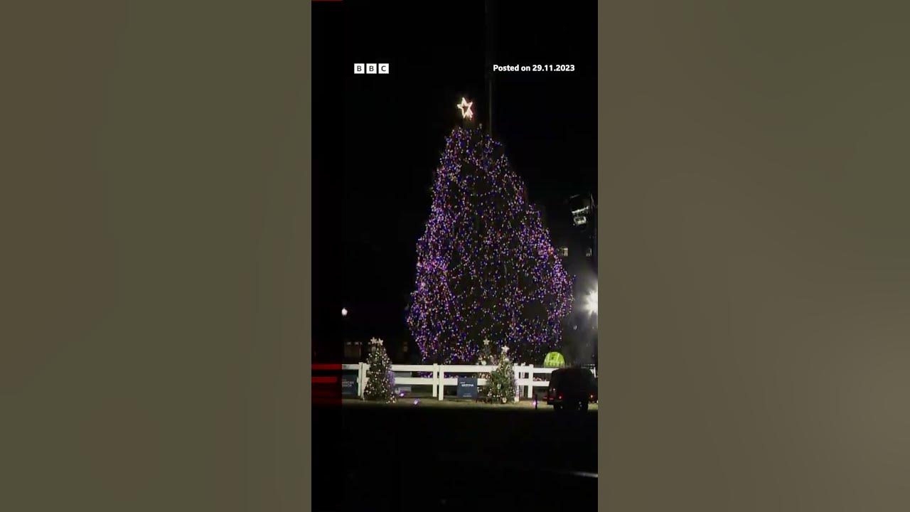 Moment White House Christmas tree blown over by high winds. #USPolitics #BBCNews