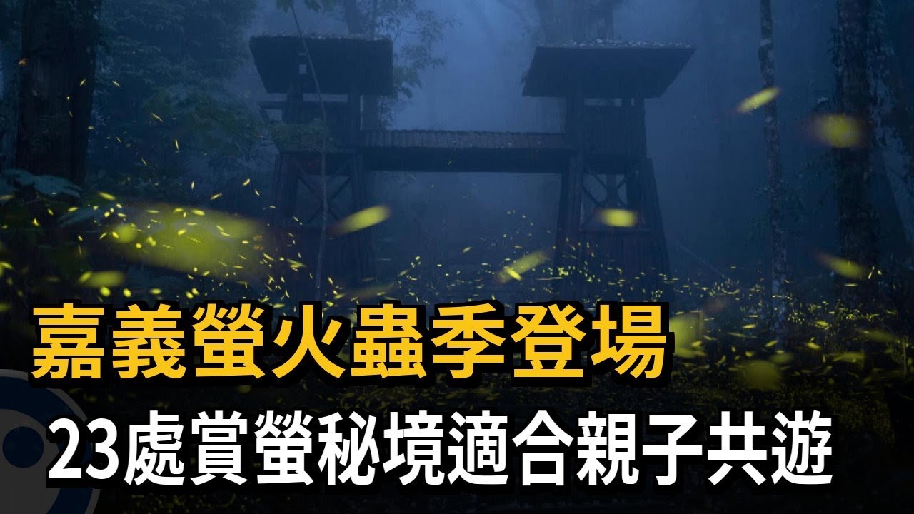 嘉義螢火蟲季登場 23處賞螢秘境適合親子共遊-民視新聞 - YouTube