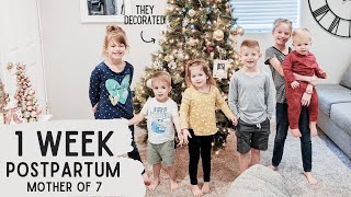 First Week with a Newborn Baby VLOG | Family Thanksgiving 2022 | Mother of 7