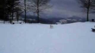 Bull En La Nieve Part 1 Ssצ Mαđε-Iא-Hεℓℓ