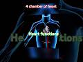 #heartdoctor #doctor #humanheart #animation #biology #anatomy #ytshortvidio #music #bloodcirculation