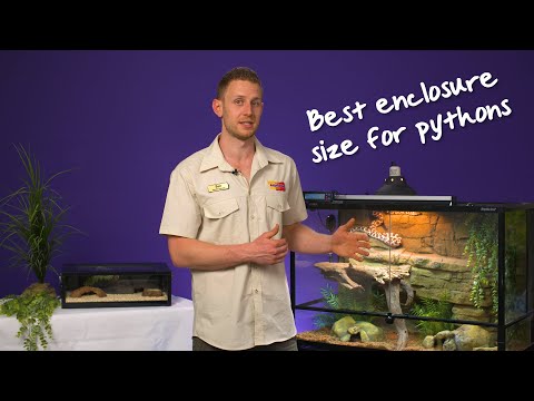 Best enclosure size for pythons