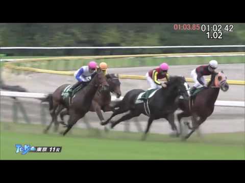 富士Ｓ2016　ヤングマンパワー　（タイムコード・ヴァーチャルライン入り）