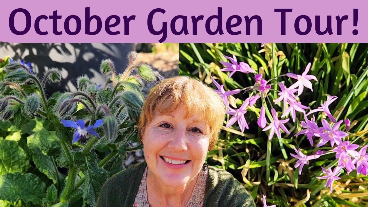 October Garden Tour New Herbs, More Melons, Red Roselle Hibiscus