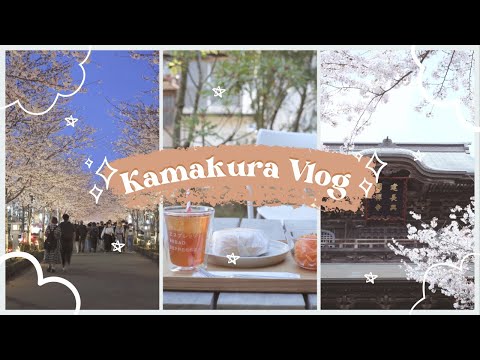 Kamakura Vlog | 桜は鎌倉で | 満開の桜を見に鎌倉へ | 江ノ電 | 長谷寺 | 建長寺 | 段葛 | 4K | Vlog Shot on X-S10 & DJI Pocket 2