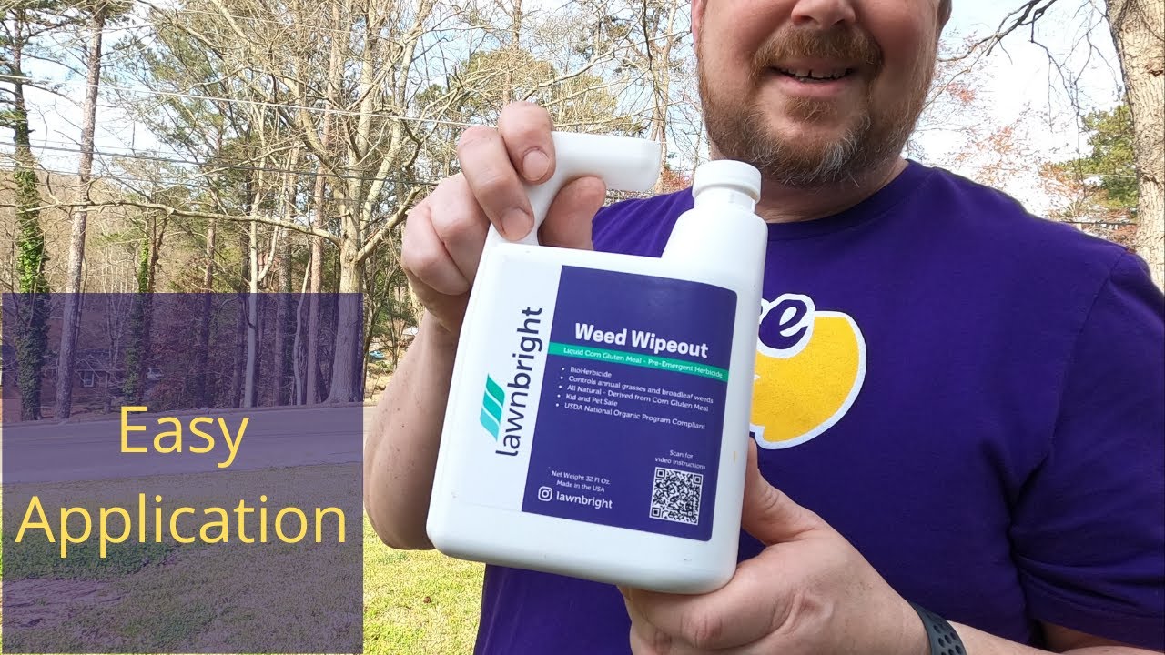 How To Kill Weeds In Your Lawn Lawnbright All Natural Weed Wipeout Sunday Lawn Care Subscription