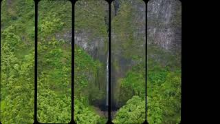 Hawaii Camping: Island Bliss