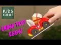 Egg Crash Test Dummies (for kids!)