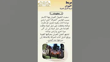 معلومات عن رسن العبيان 
