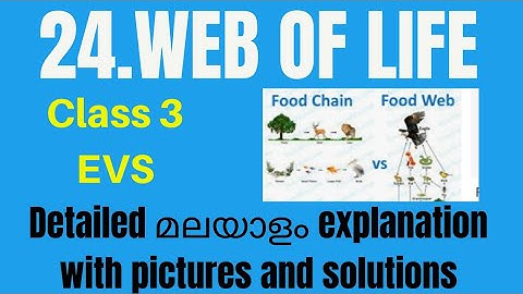 Class 3 EVS chapter 24 web of life in malayalam
