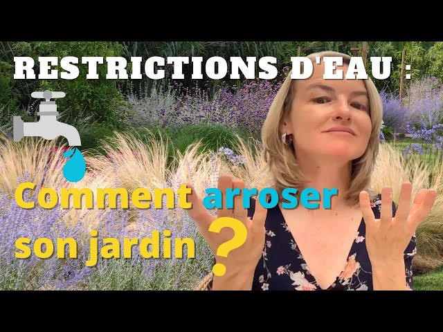 Ce geste discret au pied des arbres les protège des coups de chaud estivaux